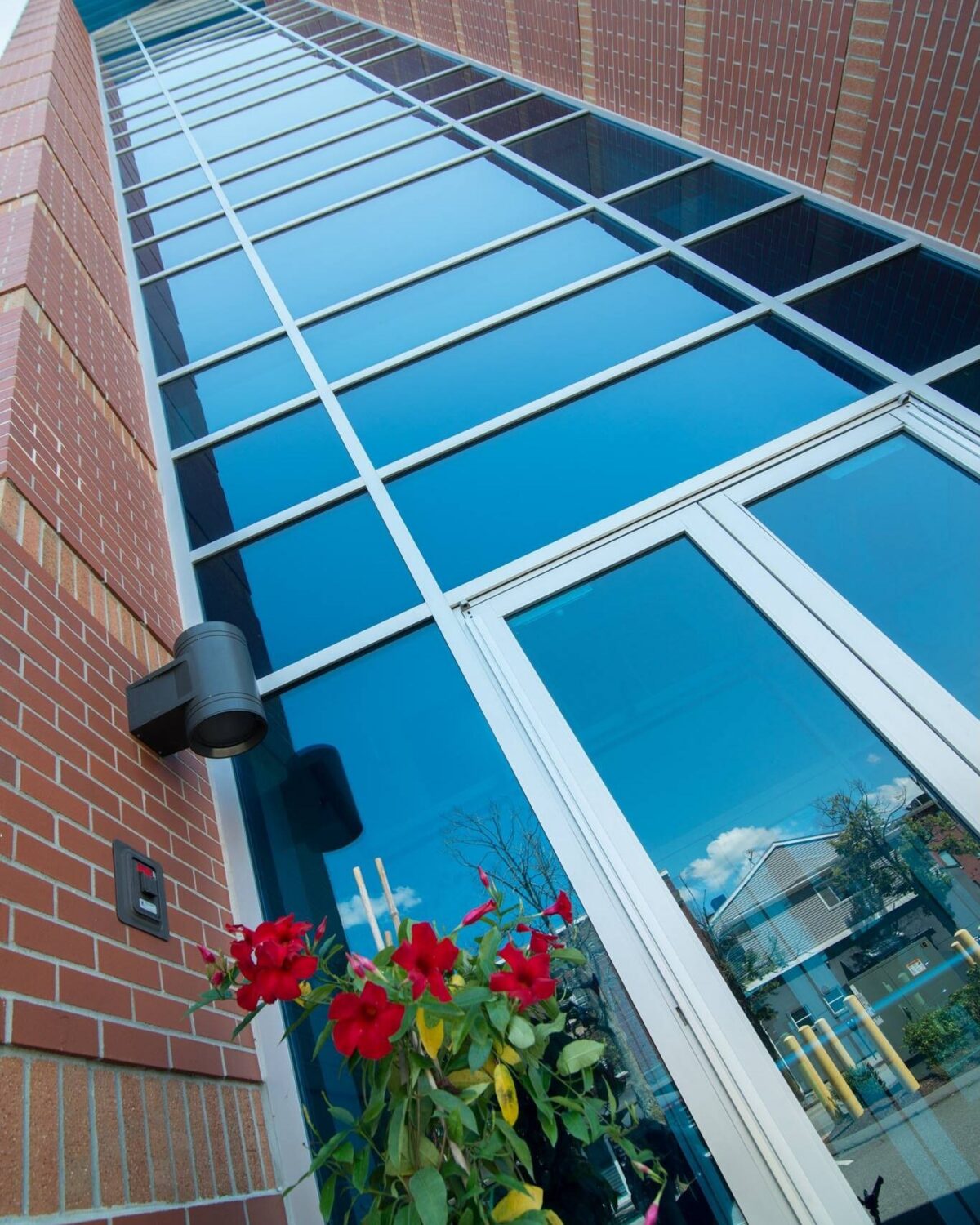 A tall glass building entrance with a flower pot and red flowers in the foreground.