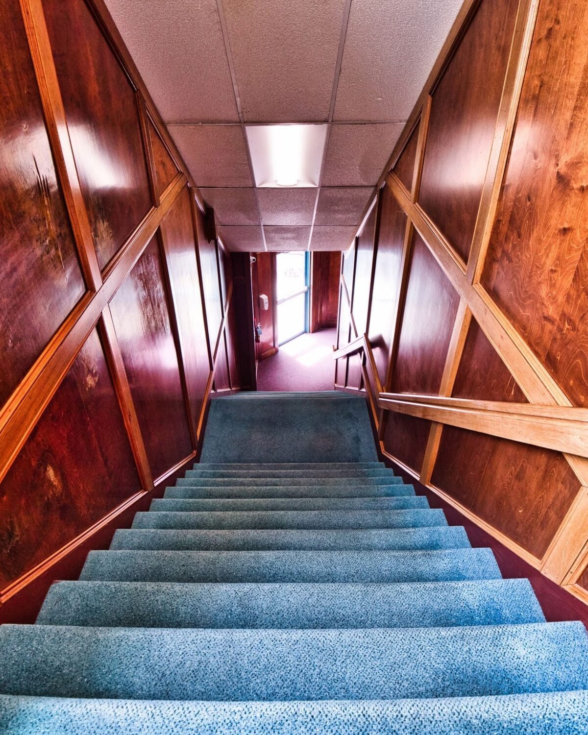 Carpeted staircase with wooden walls and handrails, leading to a door at the bottom.