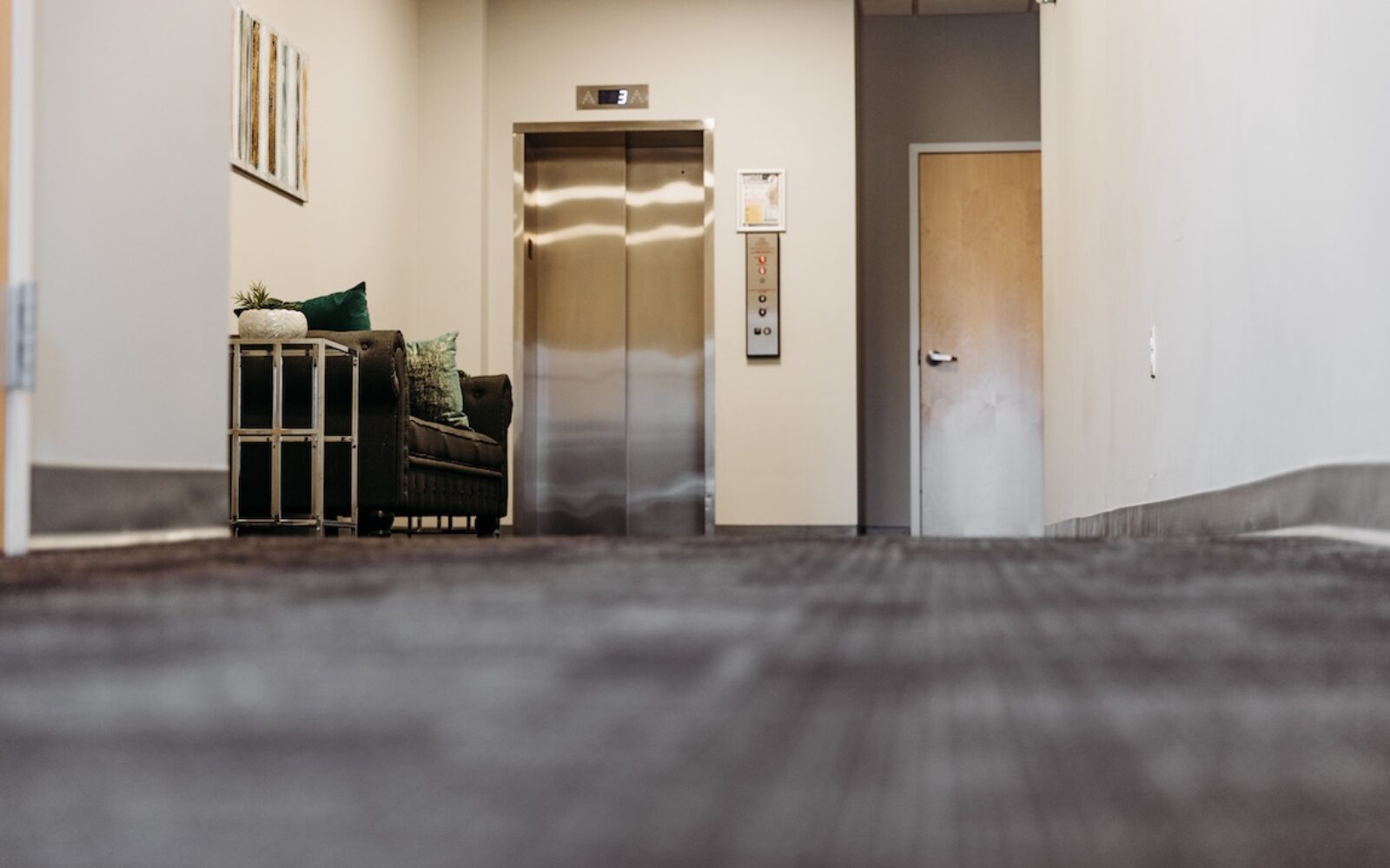 A hallway with an elevator, a couch, and decorative plants.